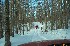 The Trail